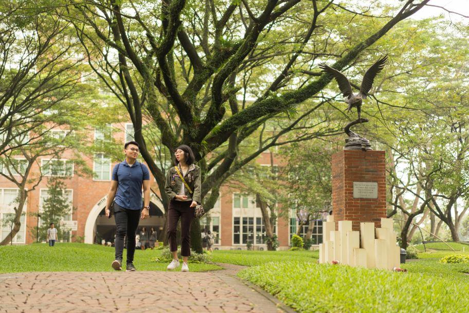 header image article