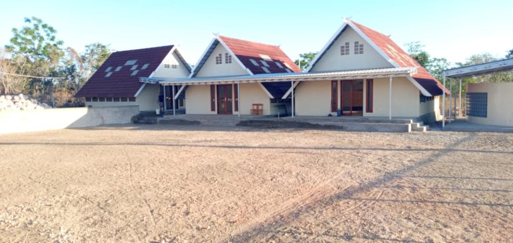 header image article