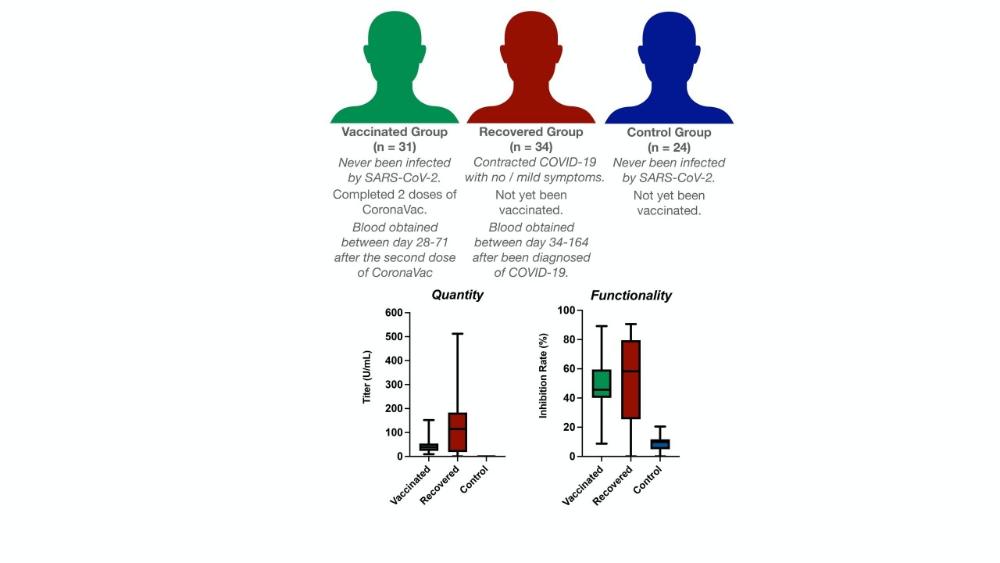 header image article