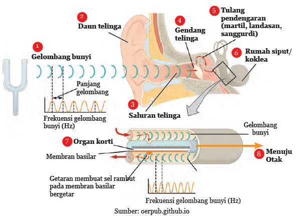 Belajar Pintar Materi SMP, SMA, SMK