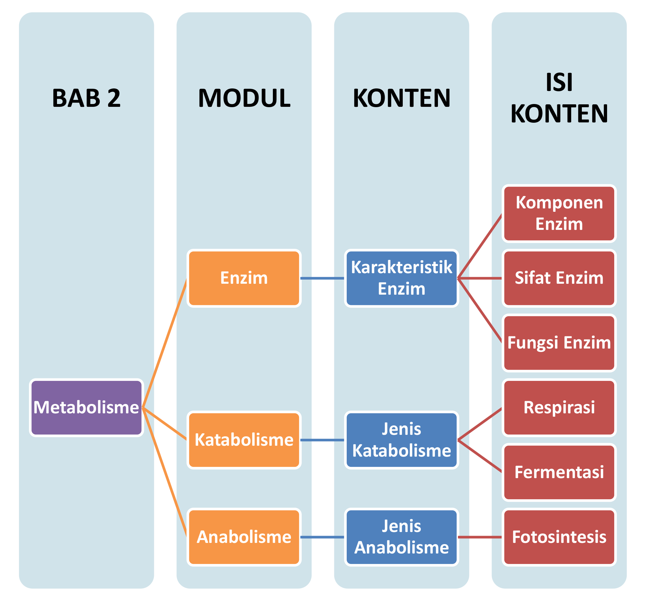 Peta Konsep Metabolisme Kelas 12 – Caribes.net