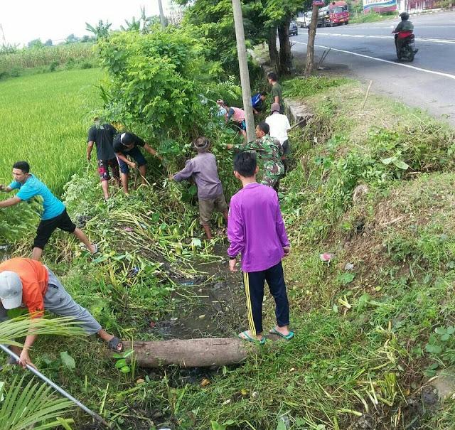 header image article