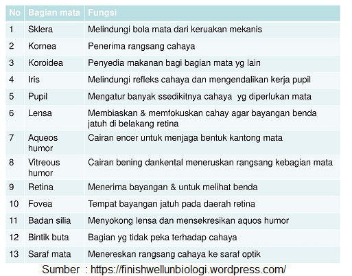 Belajar Pintar Materi SMP, SMA, SMK