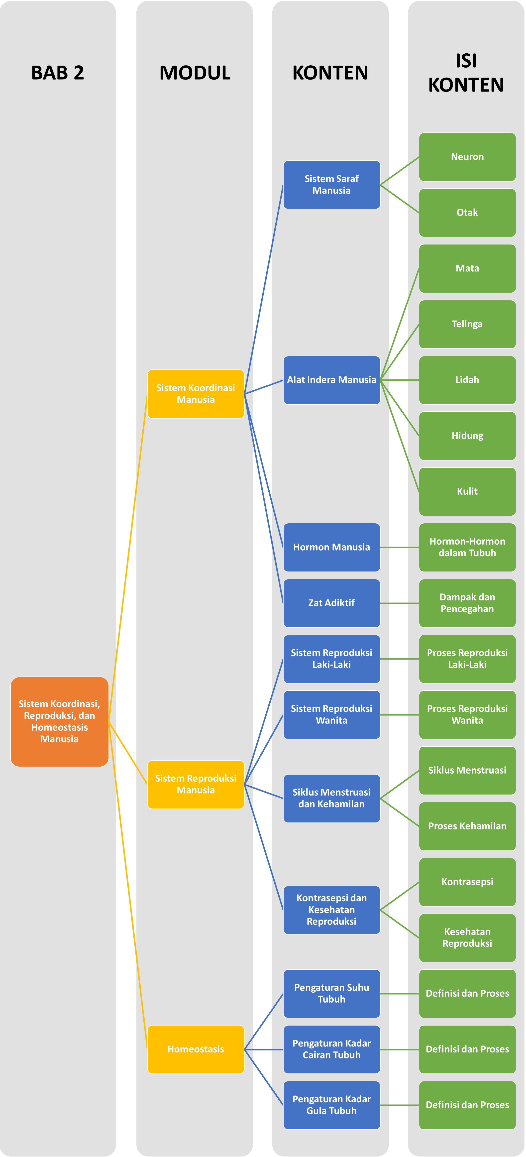 Materi IPA - Sistem Koordinasi, Reproduksi, Dan Homeostasis Manusia ...