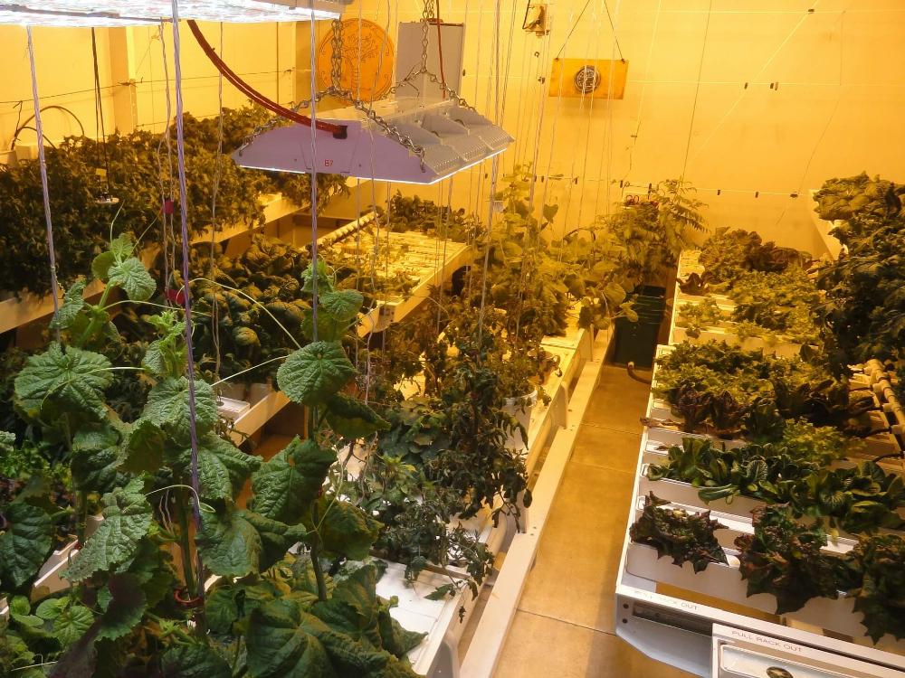 Jurusan ilmu alam apa saja