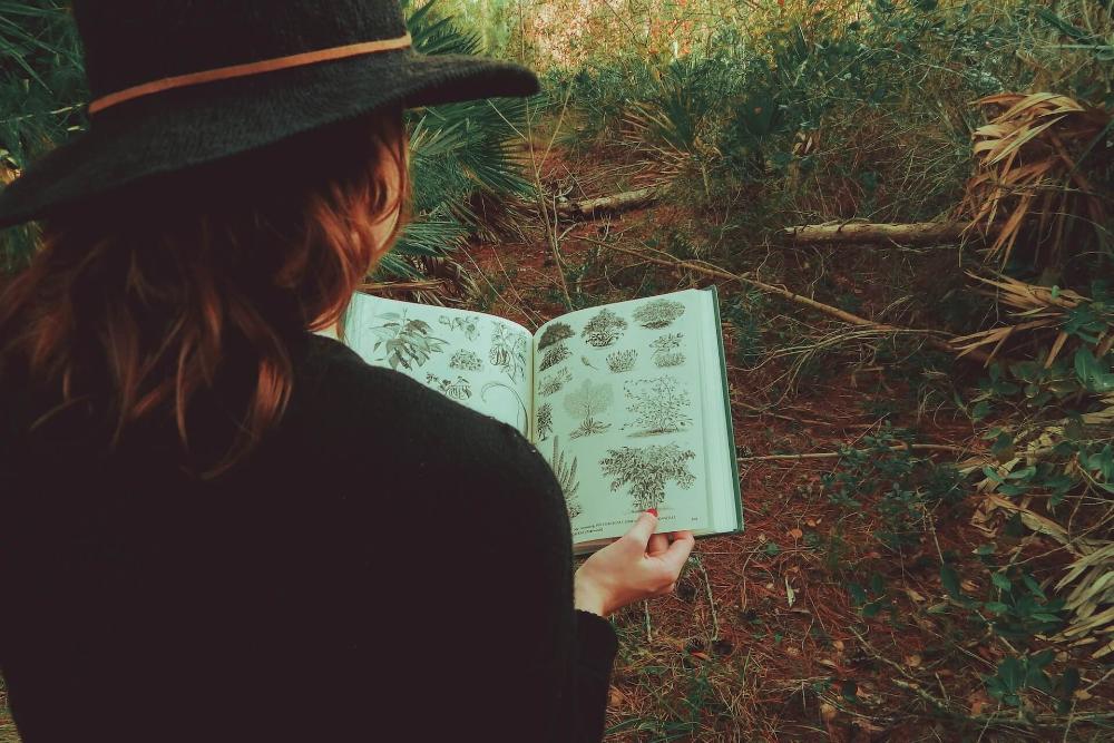 Kecerdasan majemuk meliputi apa saja