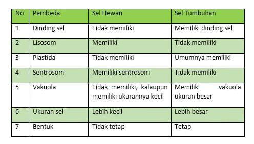 tabel perbedaan sel hewan dan sel tumbuhan