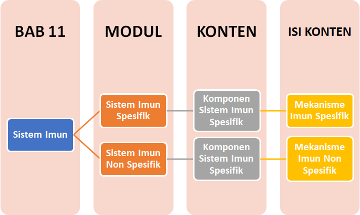 Materi Sistem Imun Kelas 11 - Homecare24