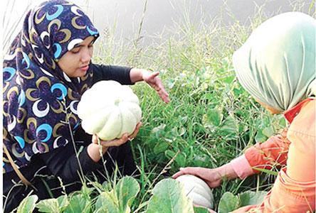 header image article