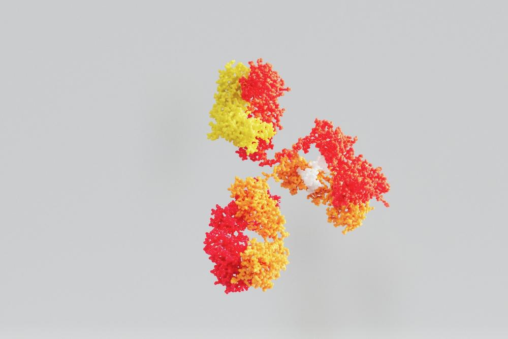 komponen dna dan rna