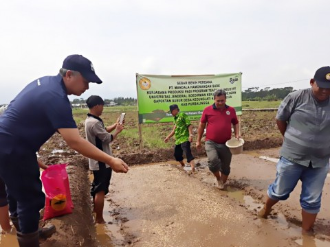 header image article