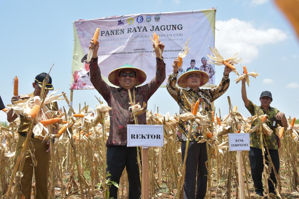 header image article