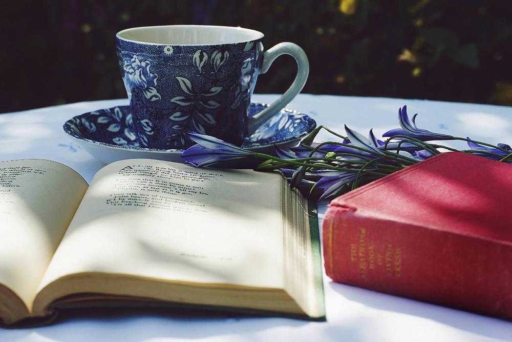 daftar kampus di situbondo