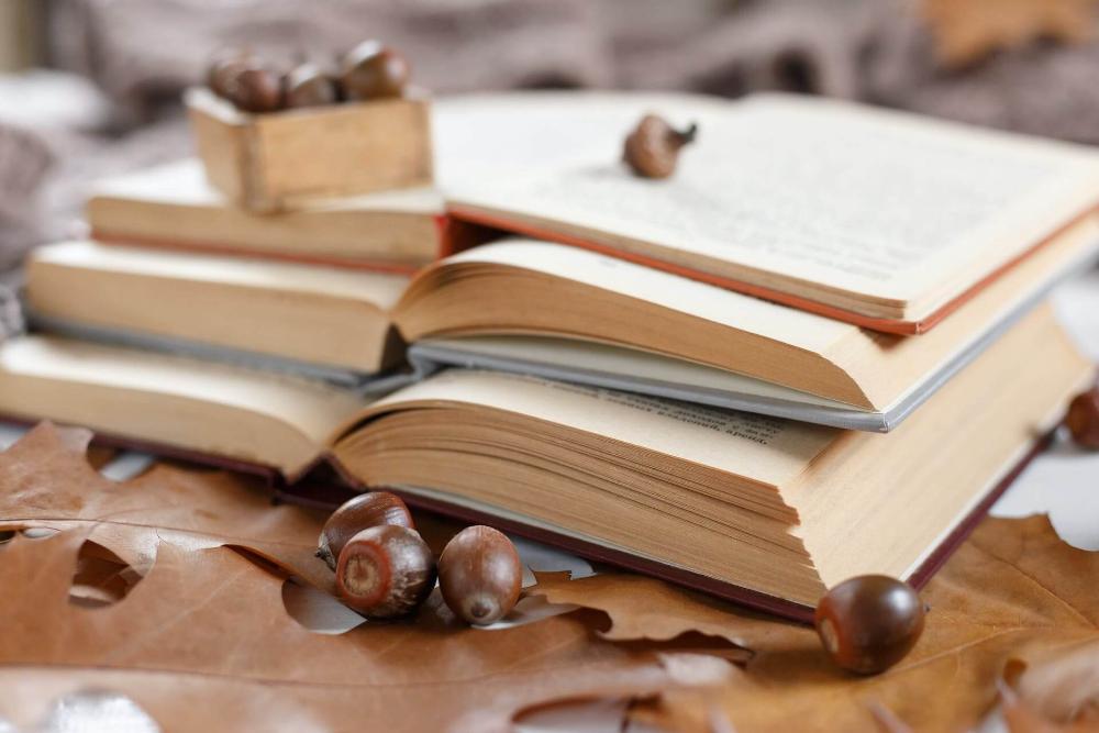 fungsi organisasi di sekolah