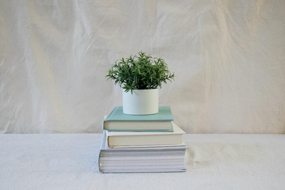 jurusan kuliah di universitas medan