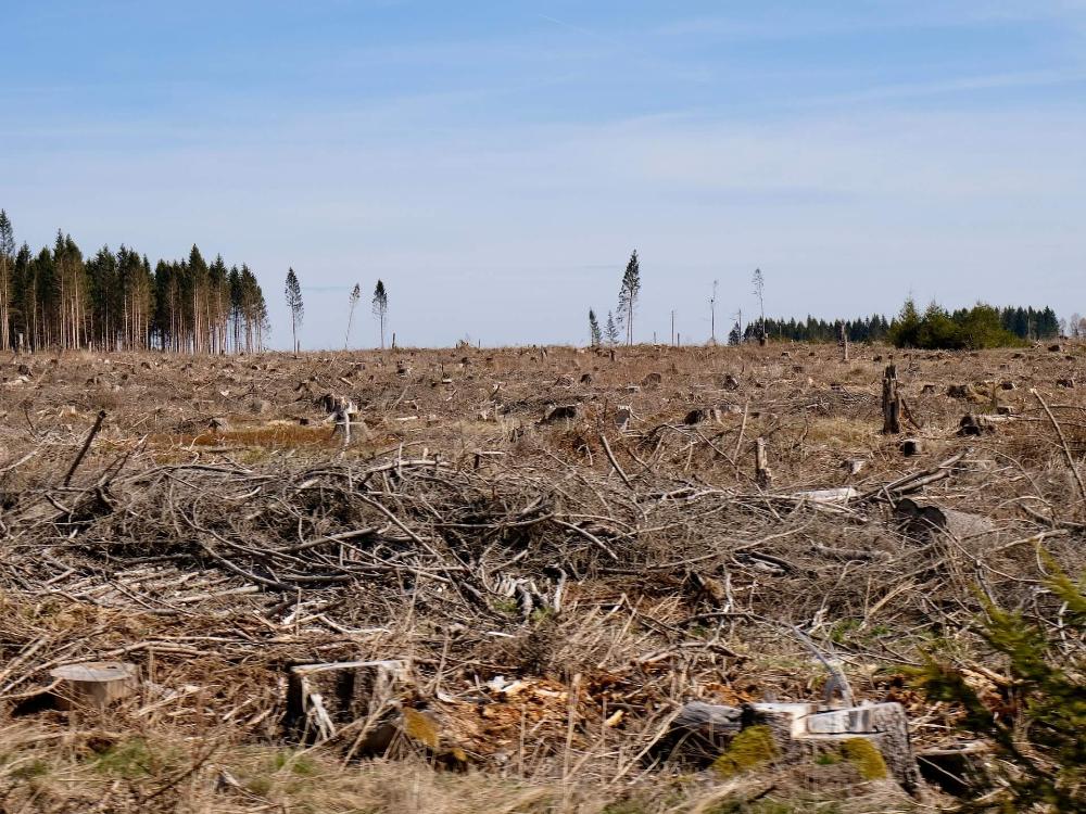jurusan yang cocok untuk anak ipa