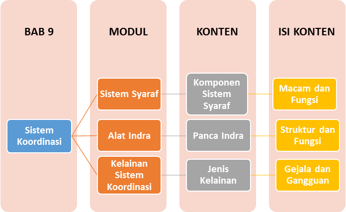 Materi Biologi - Sistem Koordinasi Kelas 11 MIA - Belajar Pintar