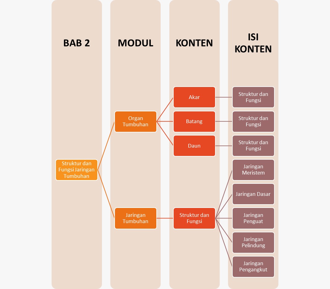 Materi Biologi - Struktur Dan Fungsi Jaringan Tumbuhan Kelas 11 MIA ...