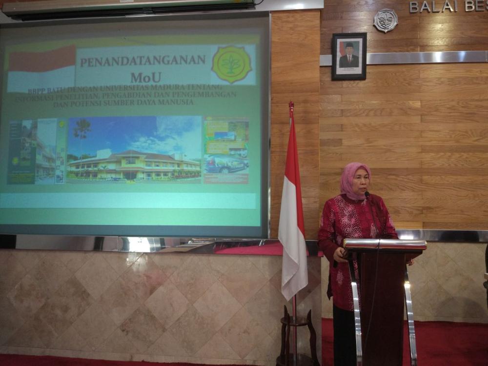 header image article