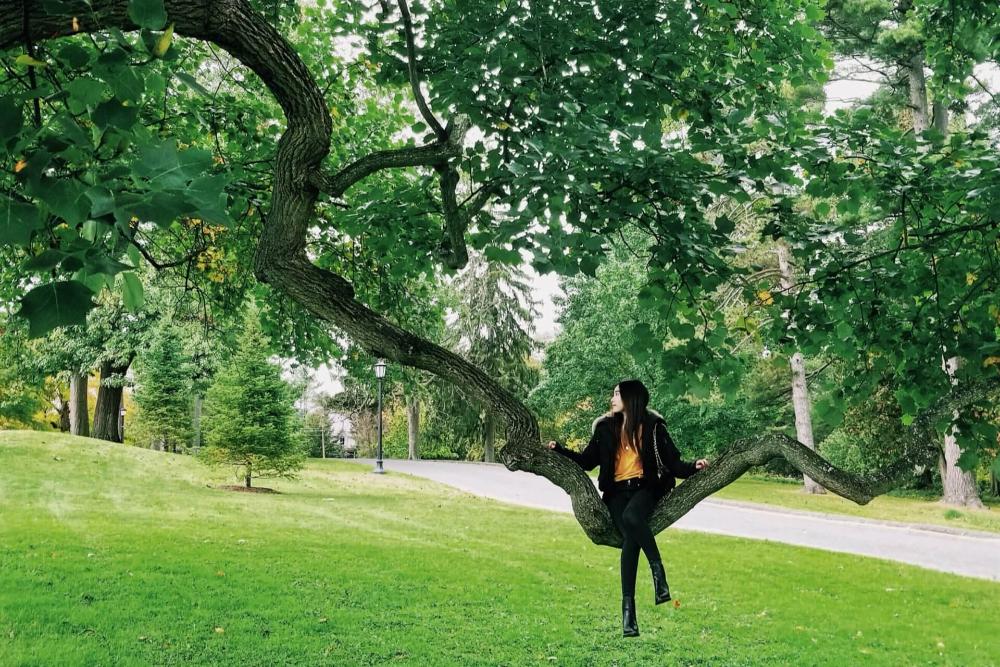 universitas yang ada di depok