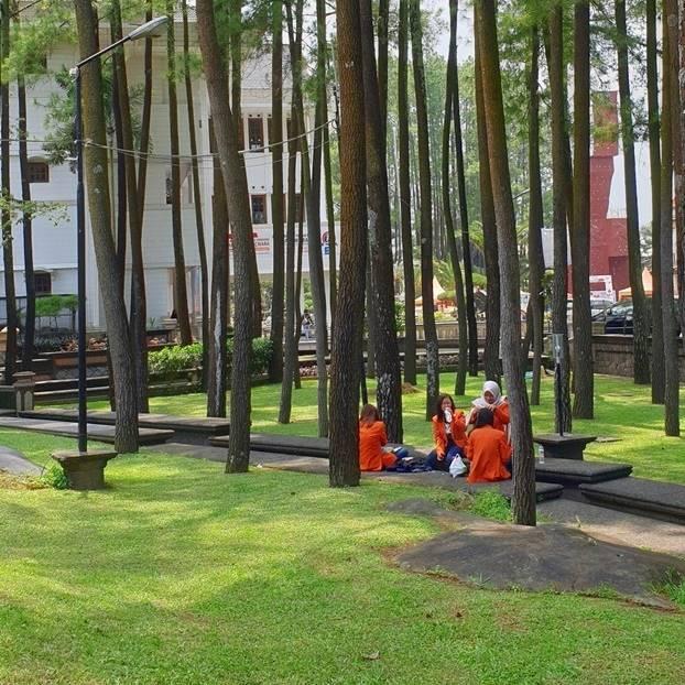 Sekolah Tinggi Ilmu Ekonomi Malangkucecwara - Kota Malang
