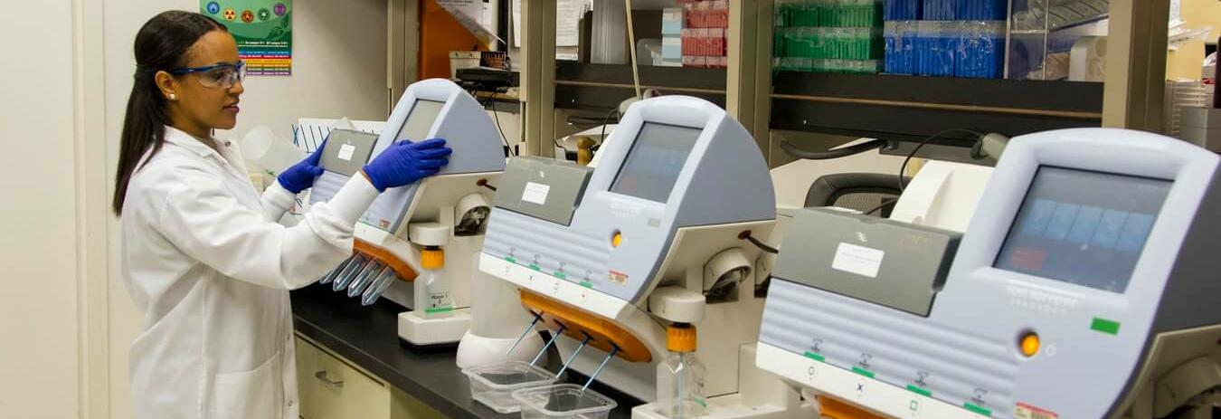 Di Mana Kuliah Teknik Biomedik Kenali 5 Kampus Pilihan Terbaikmu Aku Pintar