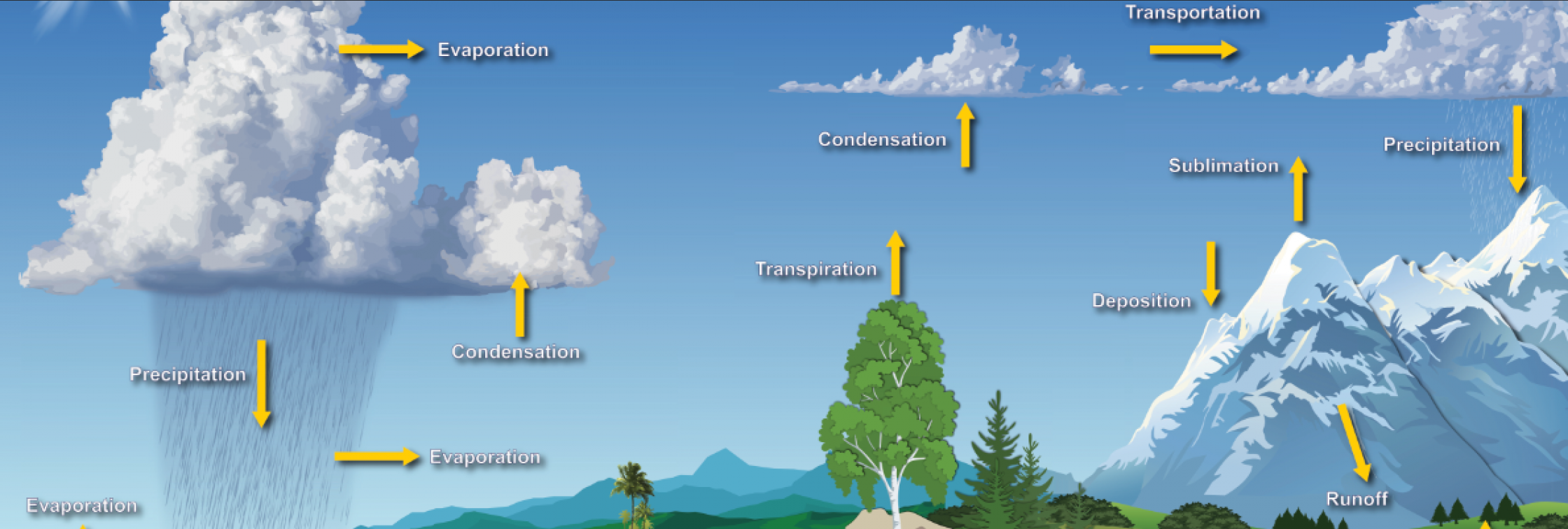 Siklus Air: Definisi, Proses, Dan Jenis Siklus Hidrologi