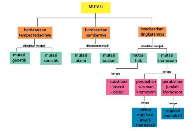 Pengertian Mutasi Dalam Biologi