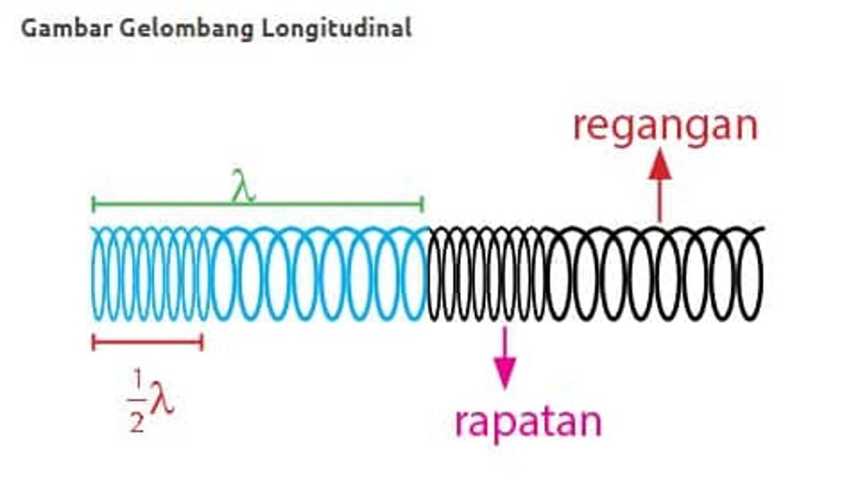 Pengertian Gelombang, Jenis Gelombang, Cepat Rambat Gelombang, Soal Dan ...