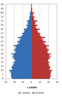 Contoh Piramida Penduduk dan Penjelasan Lengkap untuk Pemahaman Demografi