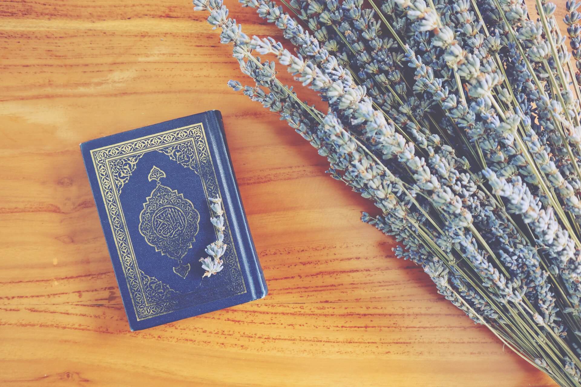 universitas yang menyediakan beasiswa tahfidz