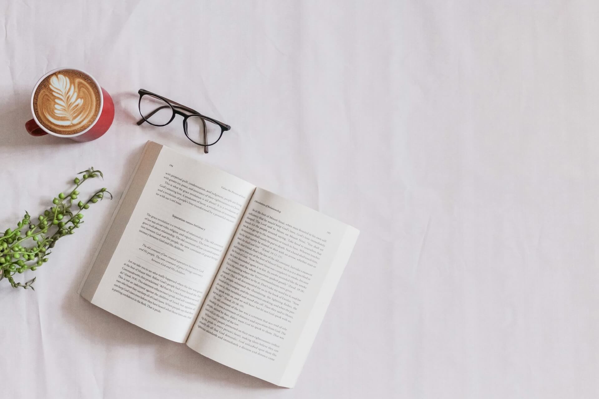 perbedaan ikatan dinas dan kedinasan