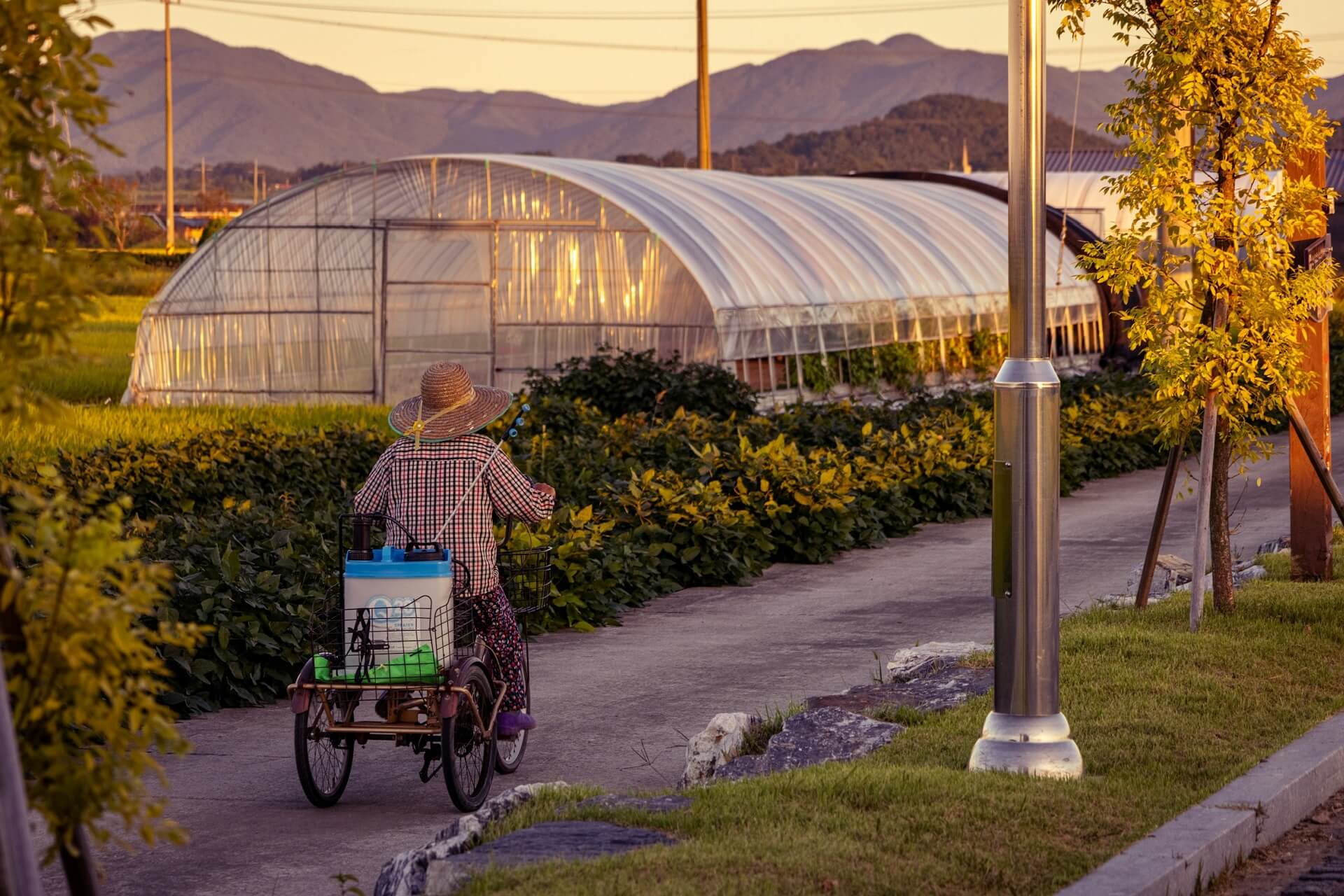 pestisida dan insektisida adalah