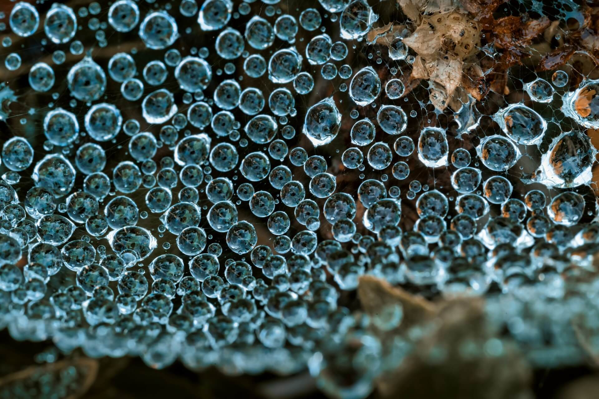 reaksi pembentukan polimer